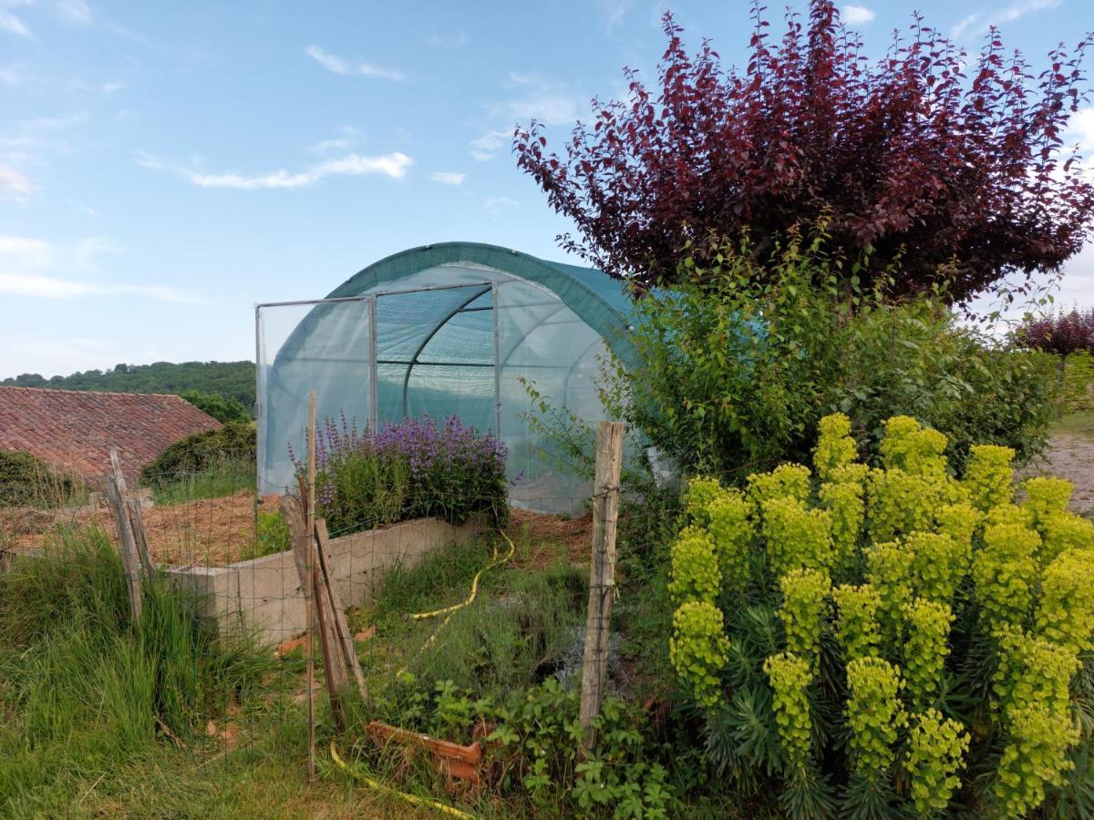 Gite Les Grands Chênes Monties Extérieur photo