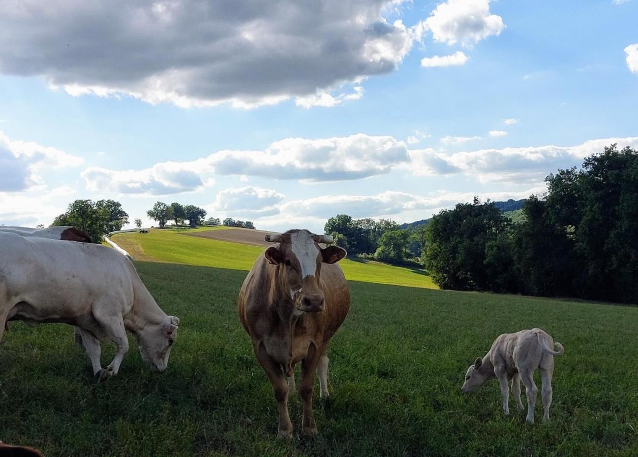 Gite Les Grands Chênes Monties Extérieur photo