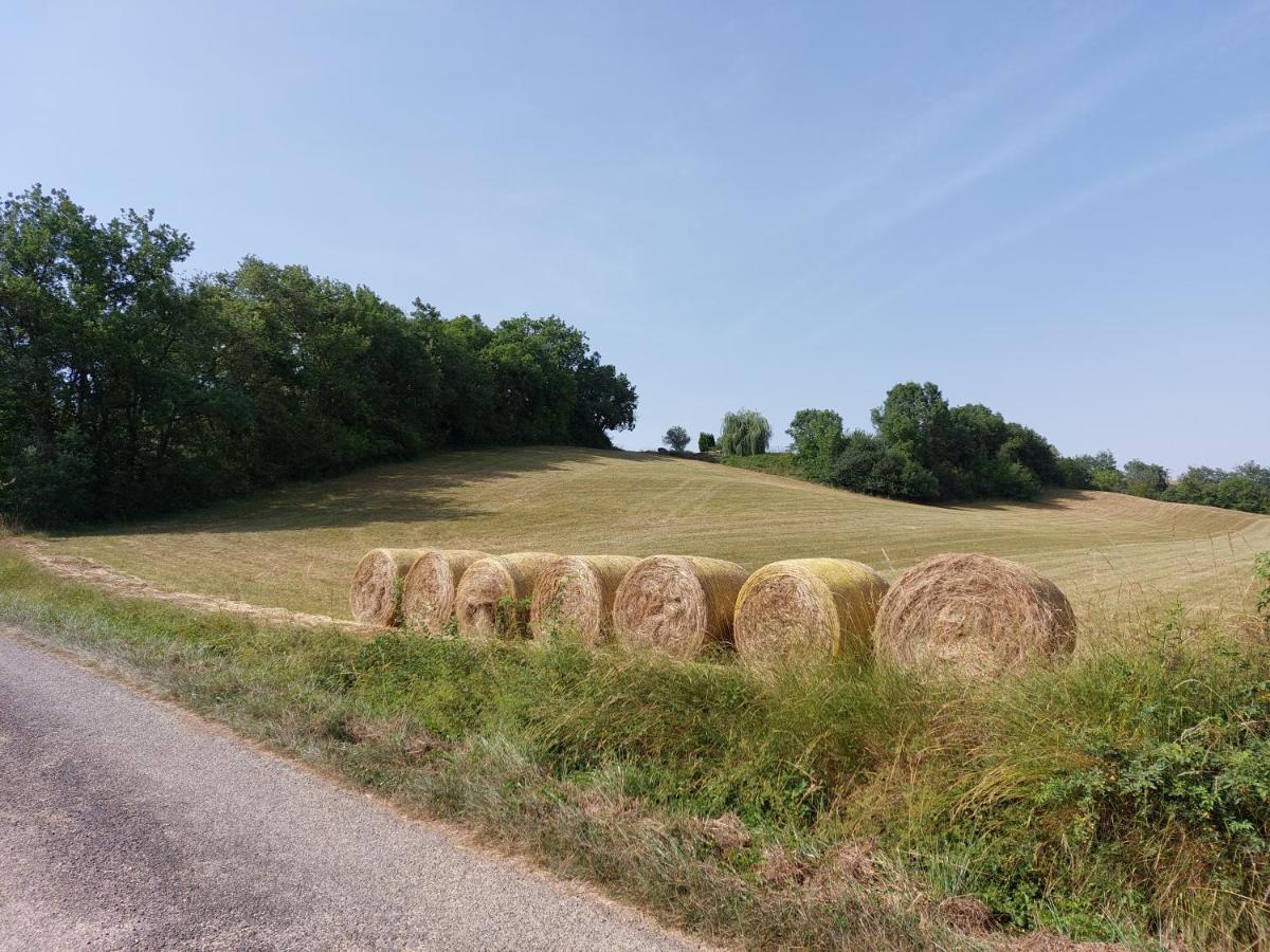 Gite Les Grands Chênes Monties Extérieur photo