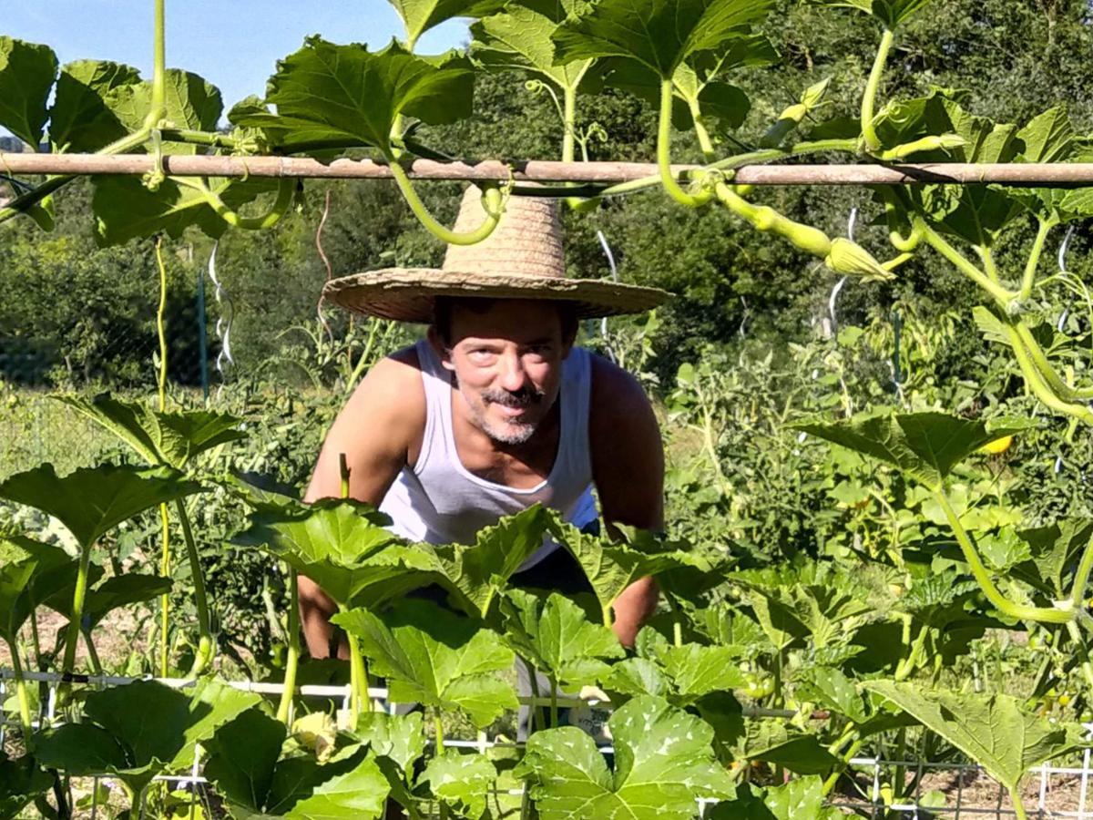 Gite Les Grands Chênes Monties Extérieur photo