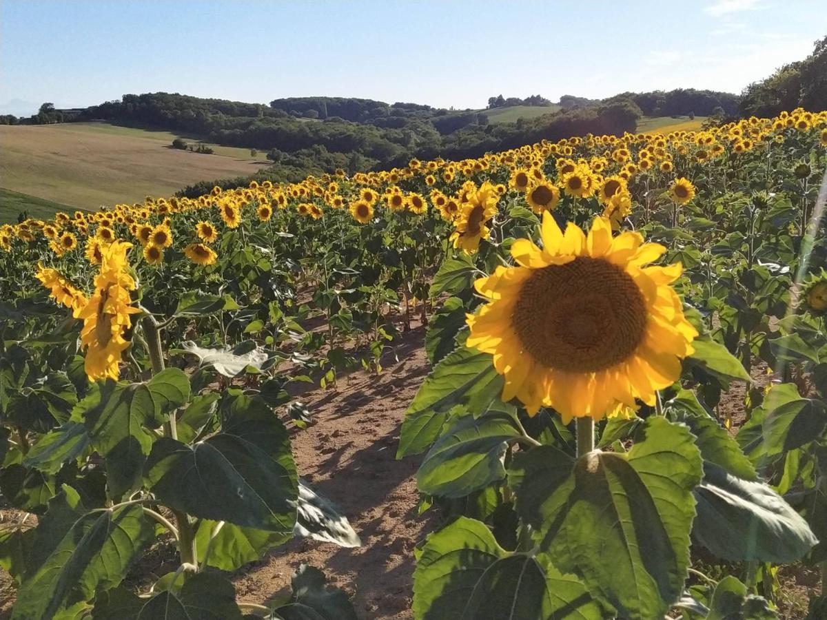 Gite Les Grands Chênes Monties Extérieur photo