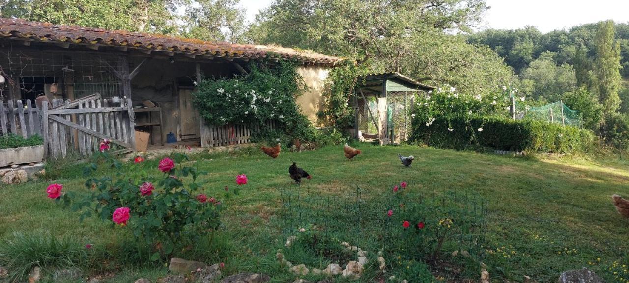 Gite Les Grands Chênes Monties Extérieur photo
