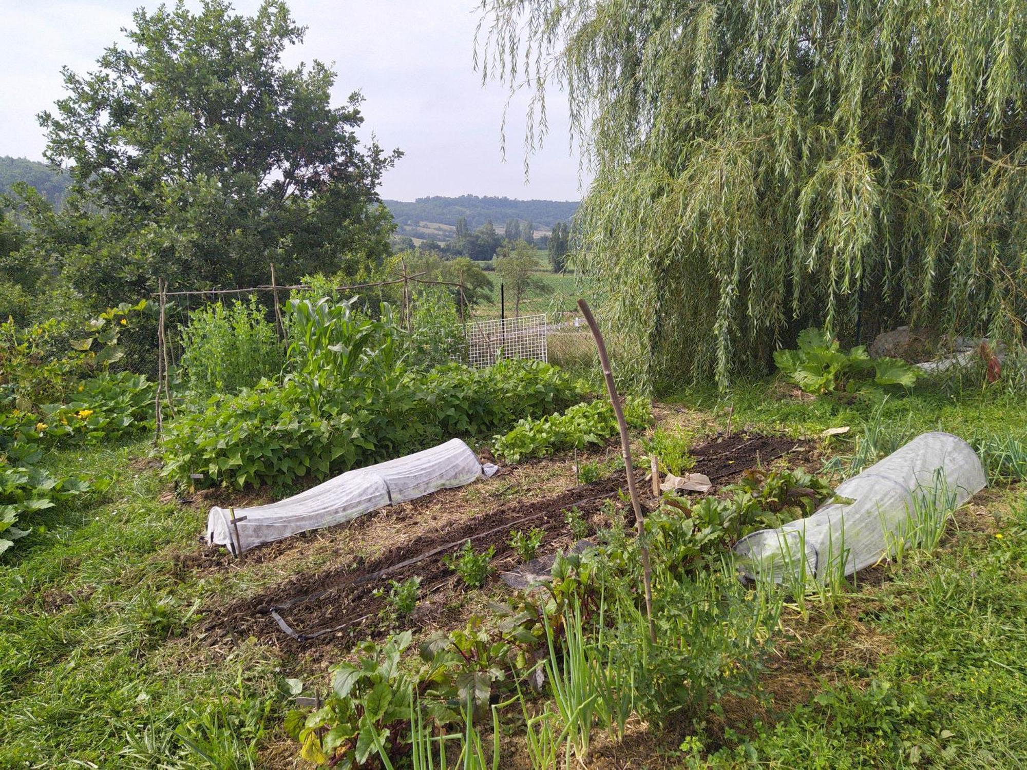 Gite Les Grands Chênes Monties Extérieur photo